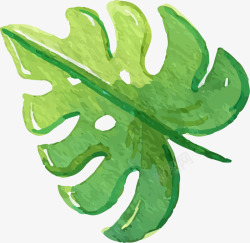 手绘桑叶手绘绿色夏季桑叶高清图片