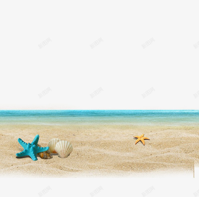 海边沙滩背景png免抠素材_新图网 https://ixintu.com 沙滩 海螺 海边 背景 贝壳