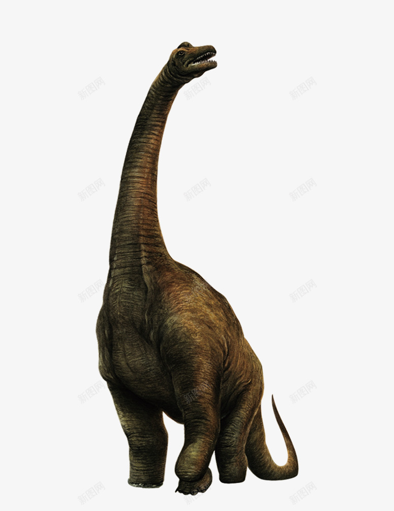 恐龙动物png免抠素材_新图网 https://ixintu.com 侏罗纪 动物 恐龙 远古