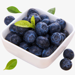 新鲜蓝莓素材