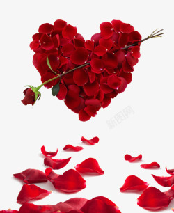 串联PNG红色玫瑰花瓣心形造型高清图片