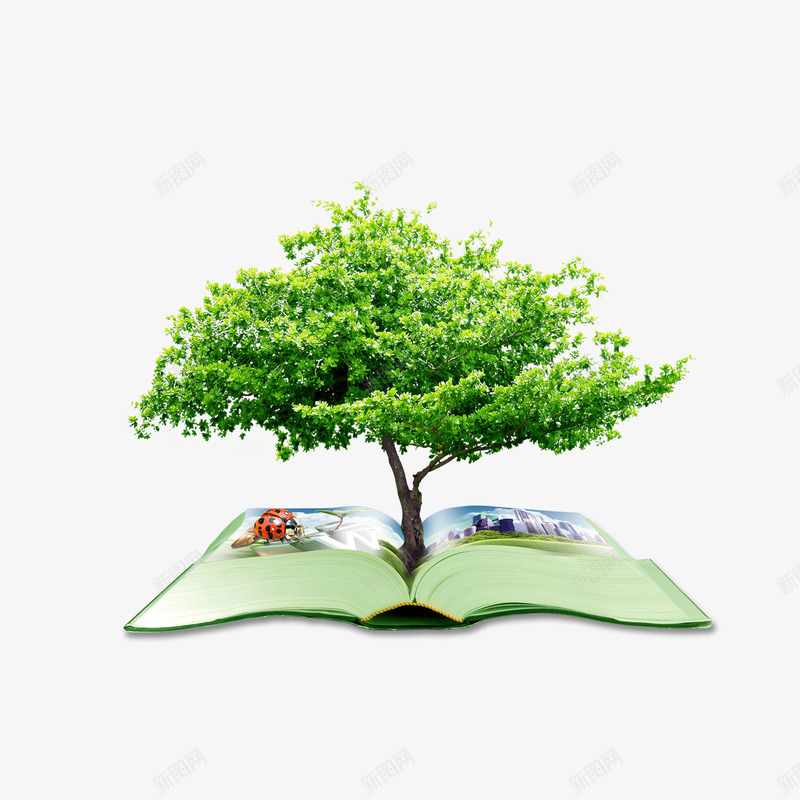 书中的树图案psd免抠素材_新图网 https://ixintu.com 七星瓢虫 书 希望 未来 树 环保 绿色书 绿色树