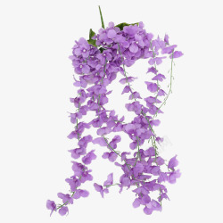 花紫罗兰矢量图紫罗兰花朵高清图片