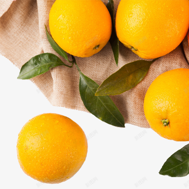 现摘橙子png免抠素材_新图网 https://ixintu.com 叶子 新鲜水果 植物 橙子 橙色 甜橙 脐橙 食物