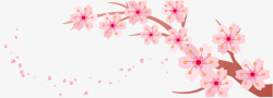 春季花卉笔刷粉色樱花banner高清图片