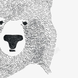 小熊插画素材