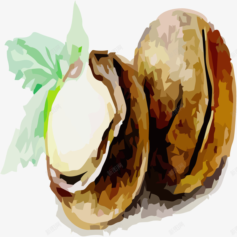 夏威夷果png免抠素材_新图网 https://ixintu.com 坚果 夏威夷果 手绘插画 矢量素材 美食