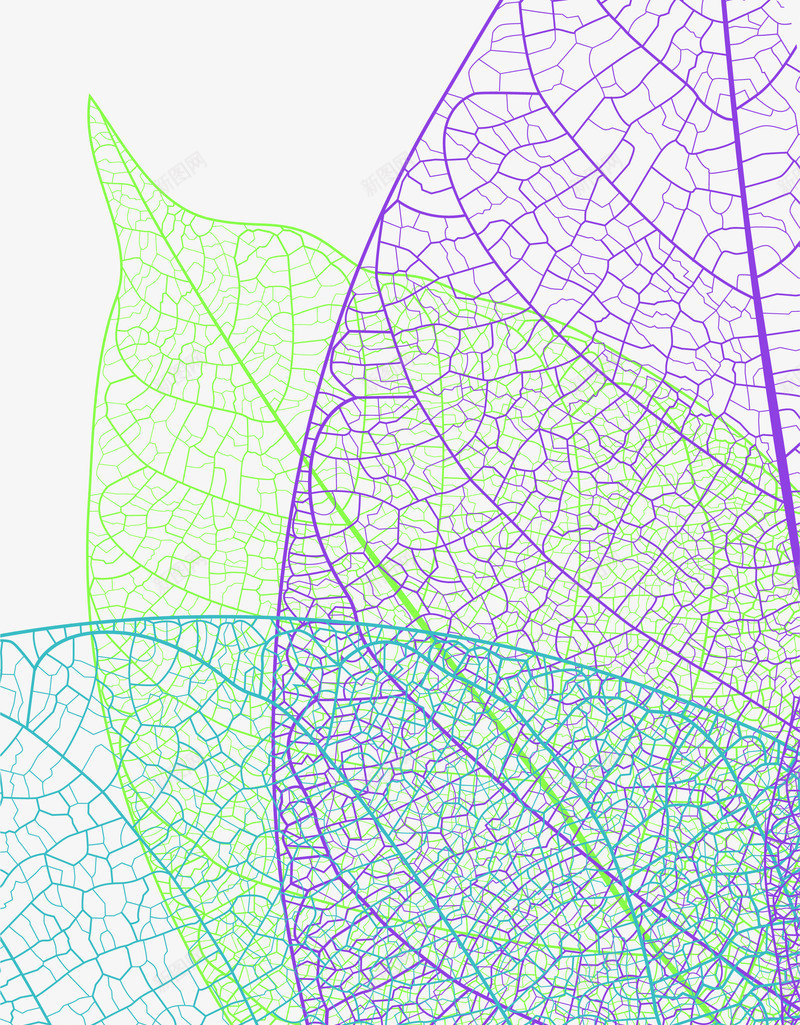 手绘彩色树叶纹理装饰png免抠素材_新图网 https://ixintu.com 彩色 树叶 纹理 装饰