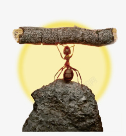 励志坚持创意企业文化蚂蚁成功插画高清图片