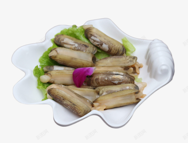 贝类海鲜png免抠素材_新图网 https://ixintu.com 海鲜素材 装饰 贝类 食材