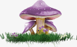 小草蘑菇毒蘑菇高清图片