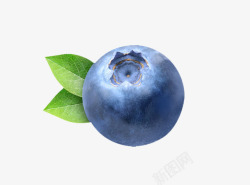 蓝莓素材
