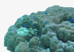 绿色礁石手绘绿色海底礁石高清图片