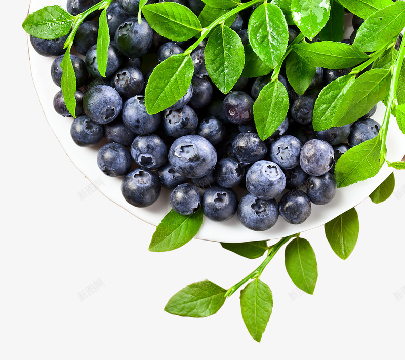盘子中的蓝莓png免抠素材_新图网 https://ixintu.com 水果 盘子中的蓝莓 食品