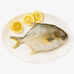 海鲜鲜活金鲳鱼素材
