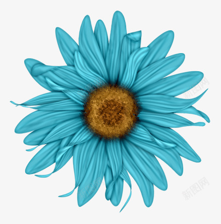花卉png免抠素材_新图网 https://ixintu.com 向日葵 手绘 植物 花瓣 蓝色