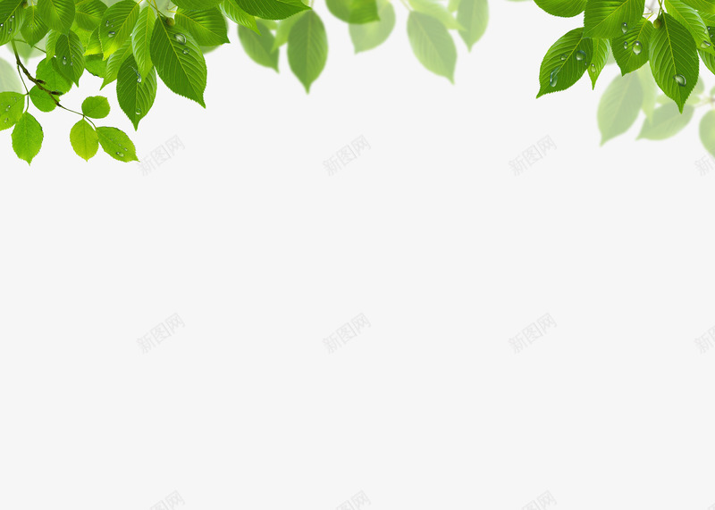 绿色树叶好看psd免抠素材_新图网 https://ixintu.com 好看 树叶 绿色