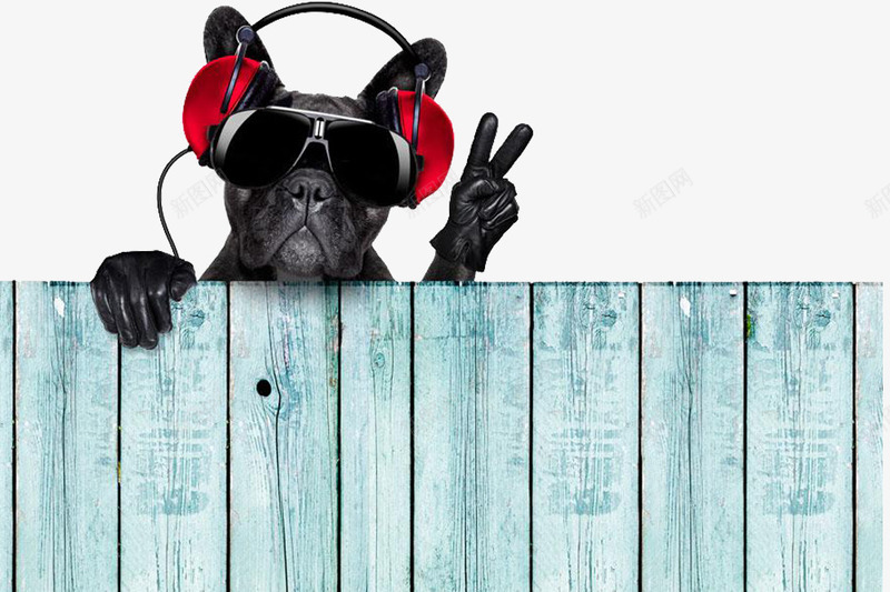 调皮的小狗png免抠素材_新图网 https://ixintu.com 卡通 墨镜 带耳机的人 栅栏 红色的 耳机 蓝色的 黑色的