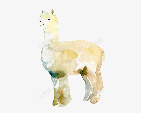 羊驼png免抠素材_新图网 https://ixintu.com 创意羊驼 动物 小羊 手绘羊驼 水彩羊驼
