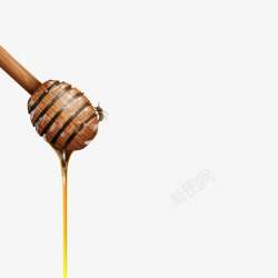 木纹蜂蜜搅拌棒蜜蜂素材