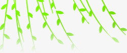 春季手绘绿色柳叶装饰素材