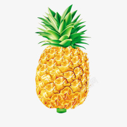一个菠萝菠萝高清图片