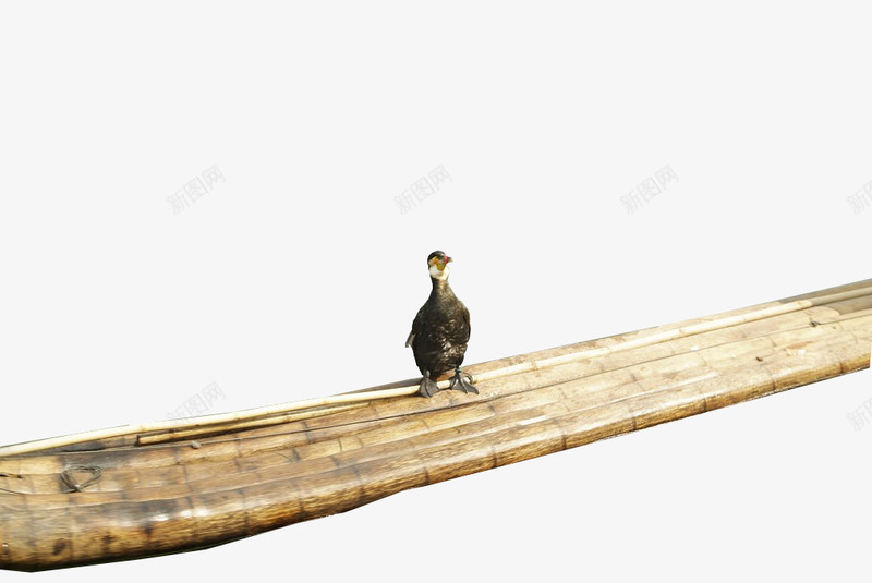 站在木筏上的水鸟png免抠素材_新图网 https://ixintu.com 大山 木筏 湖水 自然