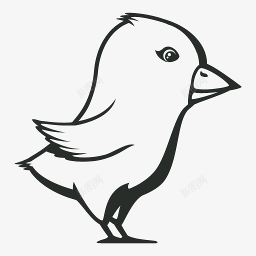详细的推特鸟令人惊叹的微博鸟图图标png_新图网 https://ixintu.com Bird Detailed Twitter 推特 详细的 鸟