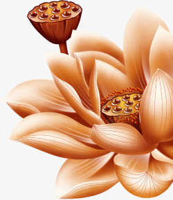 褐色手绘莲花中装饰素材