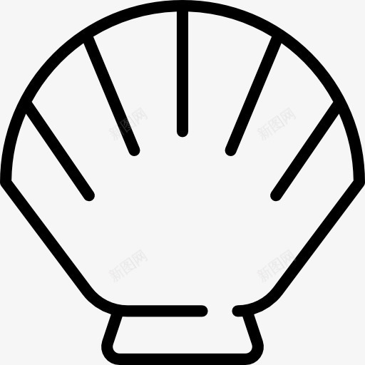 大壳图标png_新图网 https://ixintu.com 动物 海洋生物 海鲜 贝壳