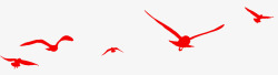 大雁背景红色飞翔的鸟高清图片