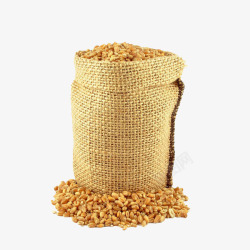 袋子里小麦粒素材