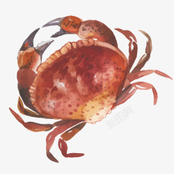 彩绘螃蟹矢量图素材