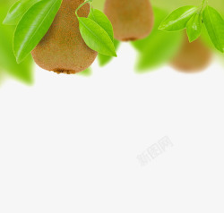 绿色概念主题新鲜的猕猴桃水果高清图片