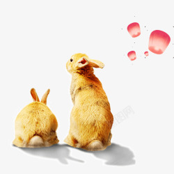 动物灯中秋写实兔子插画高清图片