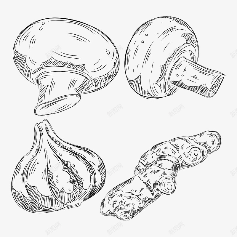 线描食品集合png免抠素材_新图网 https://ixintu.com 手绘 生姜 素描 蒜头 蘑菇