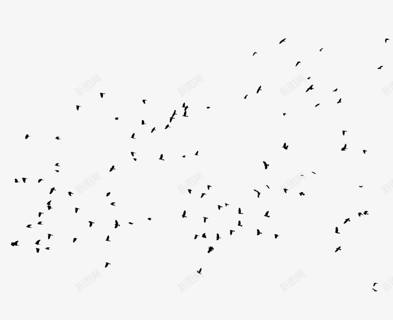 成群结伴的乌鸦在空中飞翔png免抠素材_新图网 https://ixintu.com 乌鸦 乌鸦图案 成群 空中 结伴 飞翔