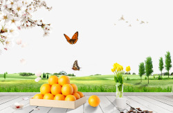 蝴蝶水杯木板上的橙子高清图片