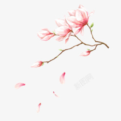 新中式手绘花鸟桃花中式精美插画高清图片