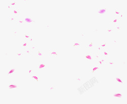 精美的粉红色花瓣图素材