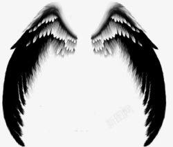 堕天使黑白相间长天使翅膀高清图片