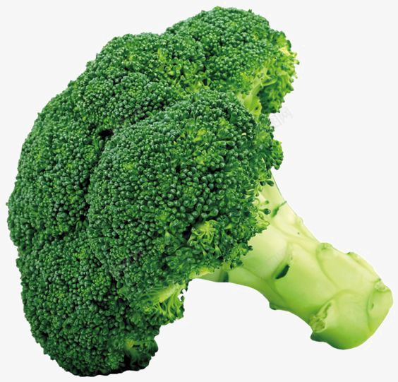 西蓝花元素png免抠素材_新图网 https://ixintu.com 创意蔬菜 天然 无公害 绿色 蔬菜免扣元素 食物