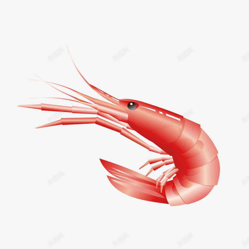 红色大虾食物海鲜png免抠素材_新图网 https://ixintu.com 大虾 海鲜 红色 食物