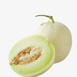 甜滋滋的新鲜的白香瓜高清图片
