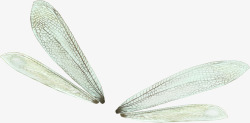 手绘蜻蜓翅膀装饰素材
