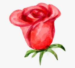 一朵玫瑰手绘卡通水彩一朵玫瑰花高清图片