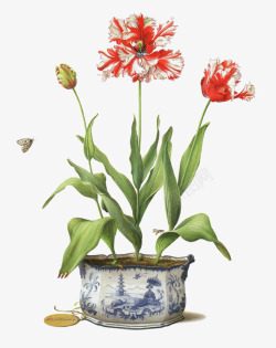 墙壁手绘花朵背景图片花盆高清图片