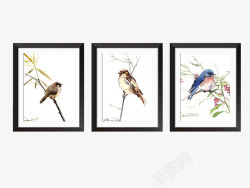 简洁风格画册各色姿态的鸟儿高清图片