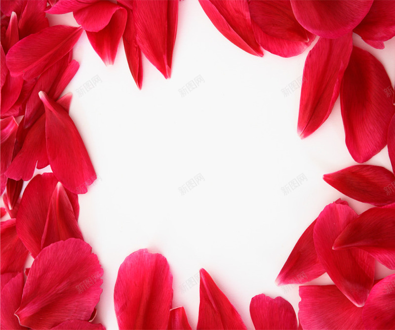 创意合成效果红色的玫瑰花瓣png免抠素材_新图网 https://ixintu.com 创意 合成 效果 玫瑰 红色 花瓣