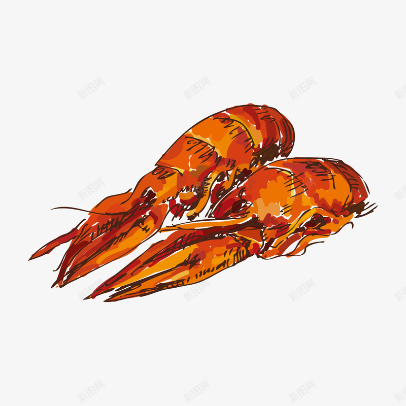 手绘龙虾矢量图ai免抠素材_新图网 https://ixintu.com 手绘 海鲜 美食 龙虾 矢量图